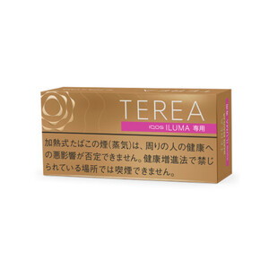 テリア ウォーム・レギュラー