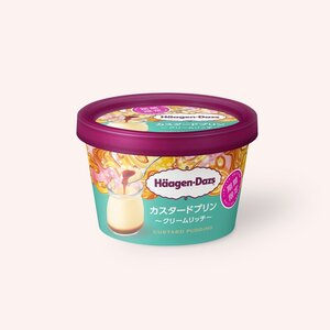 ハーゲンダッツ ミニカップ カスタードプリン~クリームリッチ~