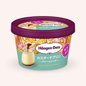 ハーゲンダッツ ミニカップ カスタードプリン ~クリームリッチ~
