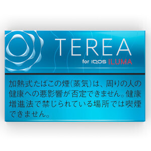 テリア レギュラー