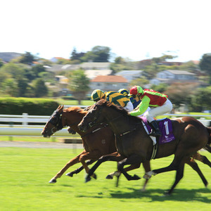 競馬観戦