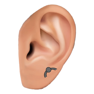 オービタル(Orbital)