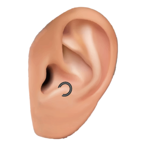 アンチトラガス(Anti-Tragus)