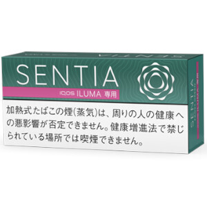 センティア フロスト・グリーン