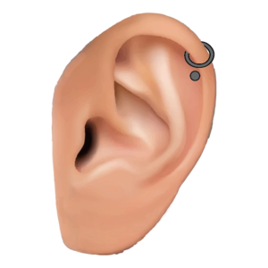 ヘリックス(Helix)