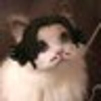 🧸ゎたながし🍪