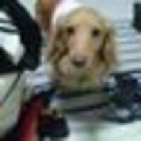 あずま しゅんや