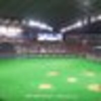 けんけん@絶望のハムファ