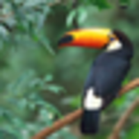 のんびりツイッター【キュ