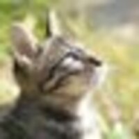 kiki@旅行鞄の中🛅