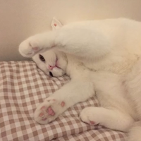 ⚪️