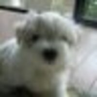 𝒯𝒶𝓀𝓊🐟@当分キャンプ