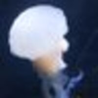 なみ＠パンセク🌈