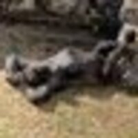 トキトキザキザキ