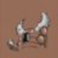 無理があるだろう