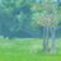 ヒラヒラ(HIRAxHI