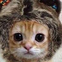 aaa