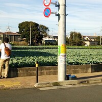 桑原和真に関するランキングとコメント 口コミ みんなのランキング