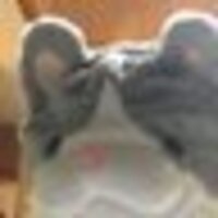 いまっき〜
