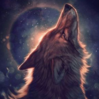 銀河に羽ばたくオオカミ