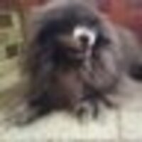 アヅヅ_ダイエットmod