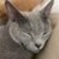 まみむめもりもり