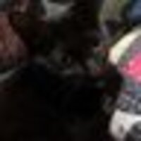 おぎゅん(´ω｀)@MM