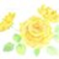 ぴよぴよこ/さっぴᙏ̤̫