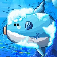 マンボウ研究家