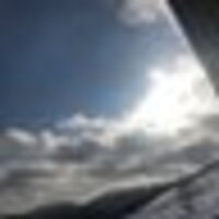 ピカチュウ(ぴかり)