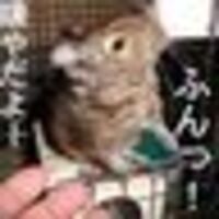 goootaro