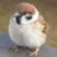 早く起きたいチュン