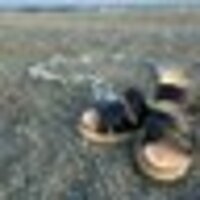 ミルキー@固ツイ把握よろ