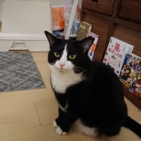 A♣️RIA⛎ゆかりんの