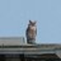 あっぷるばなな