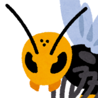 はっち