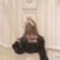 𝐈𝐜𝐡𝐢𝐠𝐨 ୨୧