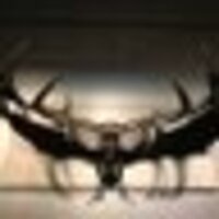 🗾🇯🇵保🌸⛩🗻守🌊🌅