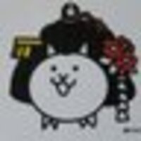 ねこまた((›´ω`‹ 