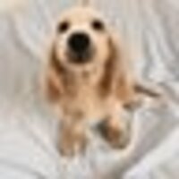 namie_A