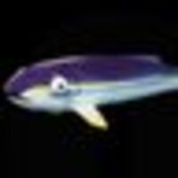 яاчт sмагг (