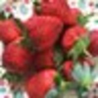 花子とおっさん🌸🐎🌈✨