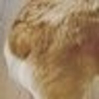 おおき