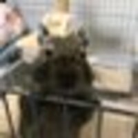 nagi316鞄鯖(デグ