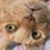 mika⚡️🥺⚡️