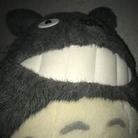 ゆき
