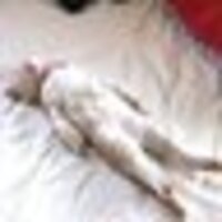 藤田(なめし)描