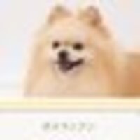 ひばり