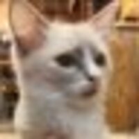 charles（シャルル