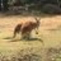 つかはらりきや